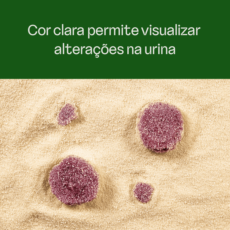 Cor-clara-que-ajuda-na-deteccao-da-presenca-de-sangue-na-urina